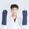 FA14-15 X-Ray Lead Gloves