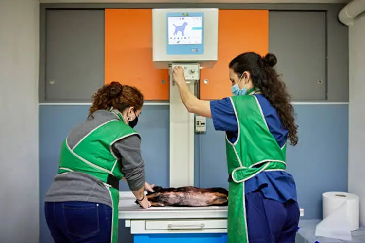 X-Ray Protection Accessories Enhancing Safety in Radiology